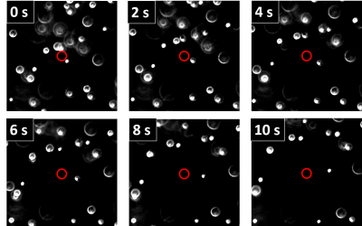 Microfaisceau d’ions : ils créent des champs électriques dans les liquides